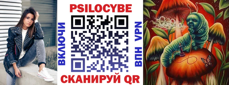Купить где Южно-Сахалинск Галлюциногенные грибы Psilocybe